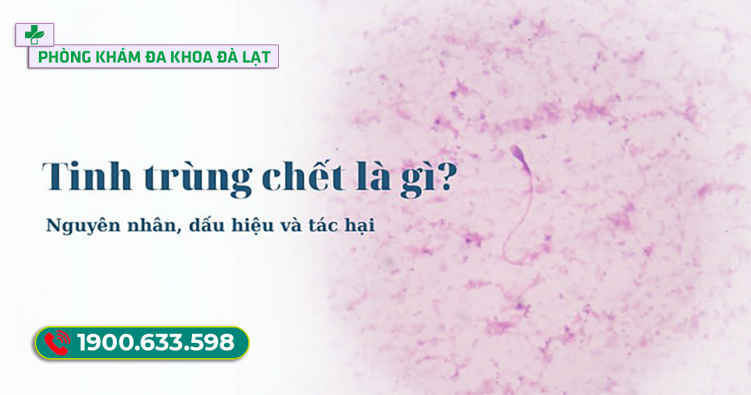 TẠI SAO TINH TRÙNG CHẾT? NGUYÊN NHÂN, HẬU QUẢ VÀ CÁCH ĐIỀU TRỊ HIỆU QUẢ TẠI PHÒNG KHÁM ĐA KHOA ĐÀ LẠT  